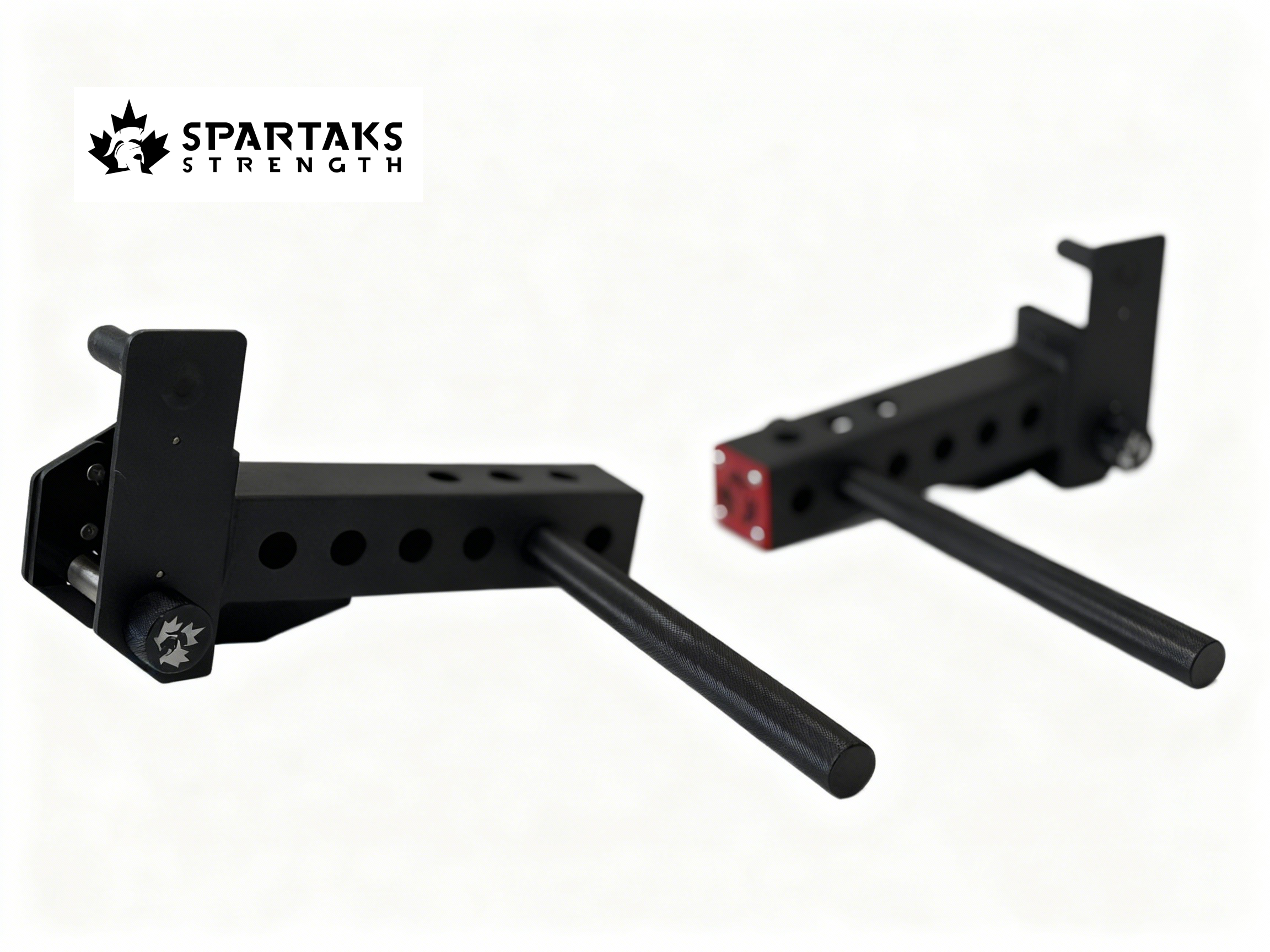Spartaks Strength Split-type Adjustable Dip Station
