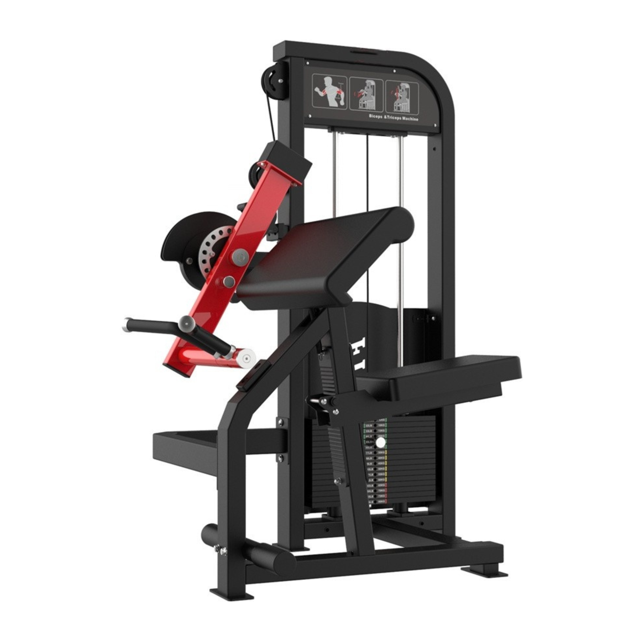 Spartaks Strength Biceps and Triceps Machine